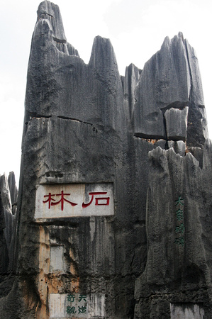 Shilin, Kunming, Yunnan 2009