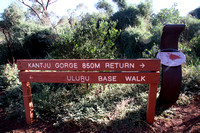 12.4 miles hike around Ululu Rock on April 3, 2016